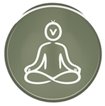 Icon 1